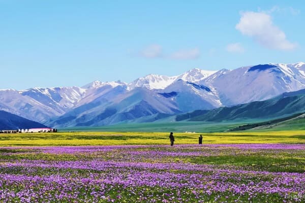 TOUR DU LỊCH URUMQI – BURQIN – JIADENGYU KHUÊ ĐỒN – Y NINH - TEKES ( THỜI GIAN: 9N9Đ, HK: AIR CHINA)