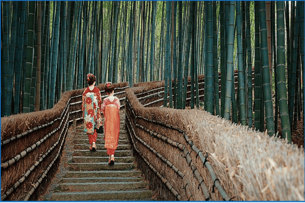 Tour Nhật Bản Mùa Thu: Osaka – Nara – Kyoto – Nagoya – Yamanashi – Tokyo
