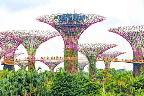 Tour Singapore – Malaysia 5 Ngày 4 Đêm Bay Vietnam Airlines
