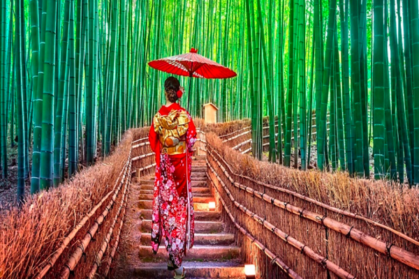 Tour Liên Tuyến Thanh Đảo – Nhật Bản 6 Ngày 6 Đêm | VACATION TRAVEL