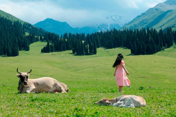 TOUR DU LỊCH URUMQI – BURQIN – JIADENGYU KHUÊ ĐỒN – Y NINH - TEKES ( THỜI GIAN: 9N9Đ, HK: AIR CHINA)