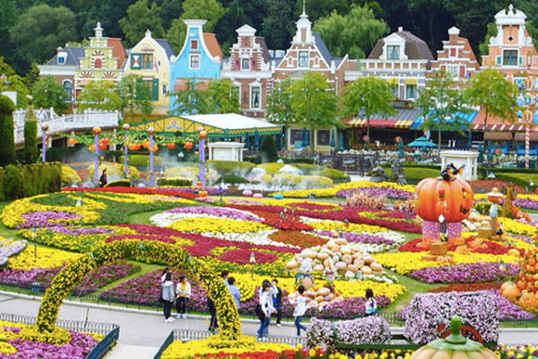 Tour hàn quốc mùa thu