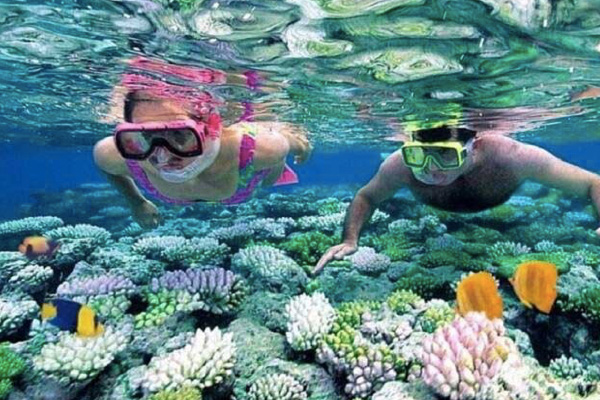 TOUR QUY NHƠN PHÚ YÊN