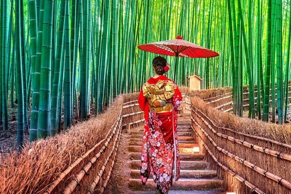 Tour Nhật Bản Mùa Hoa Anh Đào 5N5Đ | Osaka – Kyoto – Tokyo – Fuji 2026